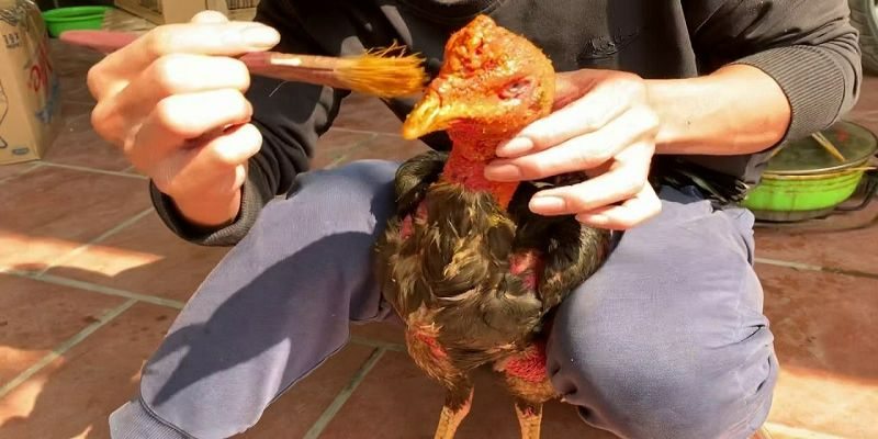 Dụng cụ cần phải có khi thực hiện làm nước