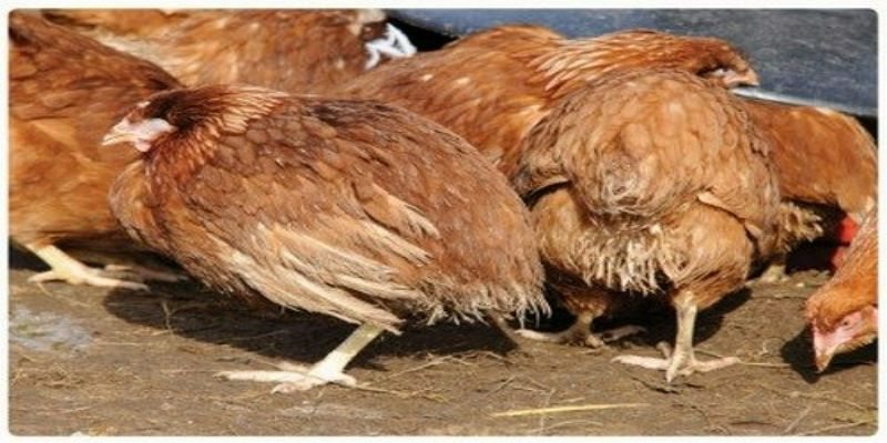 Cách nhận biết bệnh sớm nhất