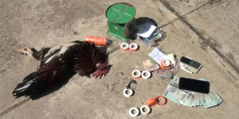 Khái quát đá gà cựa sắt ăn tiền