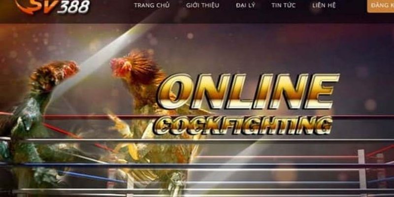 Giới thiệu sân chơi cá cược số 1 hiện nay SV388