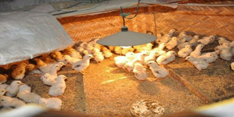Yêu cầu công cụ để thực hiện kỹ thuật